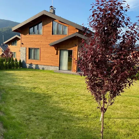 Hillvill Villa Govedartsi