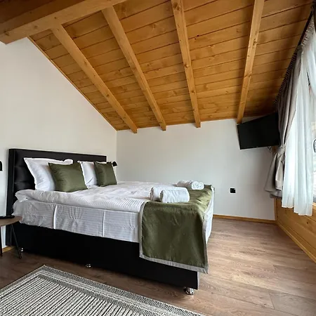 Villa Hillvill Govedartsi