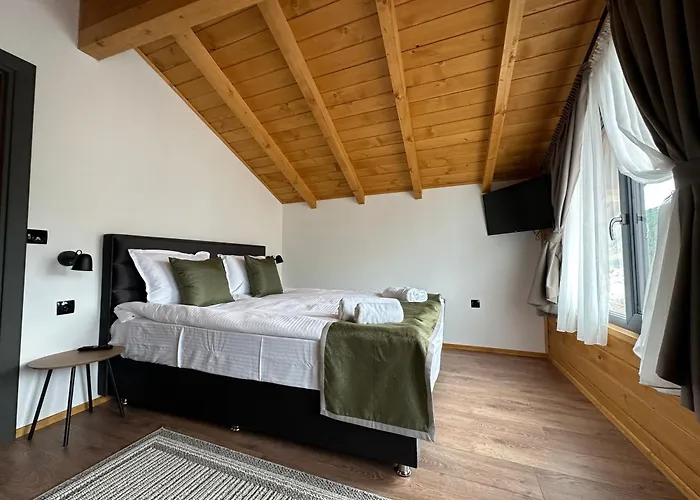 Willa Hillvill Govedartsi